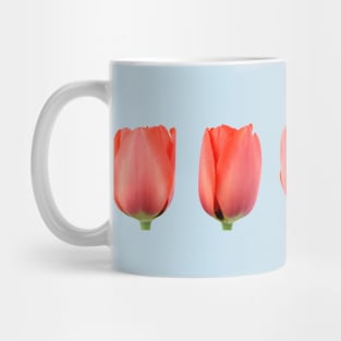 Red tulip Mug